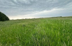 89841 489th Avenue, Spencer, NE 68777