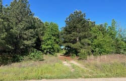 619 W Broadway St., Big Sandy, TX 75755
