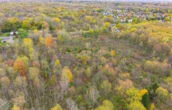 Whittier Road, Rochester, NY 14624