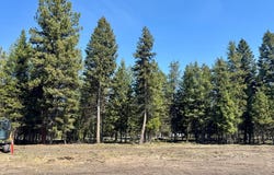 134 Nordic Way, MT 59868