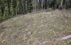 2593 BURNT VALLEY RD, CHEWELAH, WA 99109