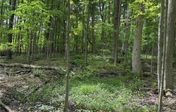 CR-48, Ellery, NY 14701