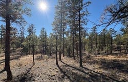 3461 W Black Oak Loop, Show Low, AZ 85901