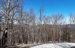 0 Club Road, Windham, NY 12496