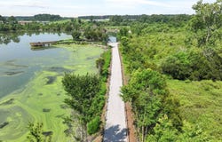 310 SALVIA STREET, MONCKS CORNER, SC 29461