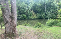 208 WOLF CREEK TRAIL, Oakman, AL 35579