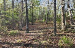3480 Bethel Drive, Summersville, MO 65571