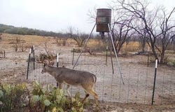 Tbd CR 210, Santa Anna, TX 76878