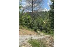 Lot 6 Sleepy Hollow Road, East Bernstadt, KY 40729