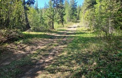 24X BARDWELL RD, CURLEW, WA 99118