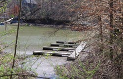 LOT 40 COUNTY ROAD 367, Crane Hill, AL 35053