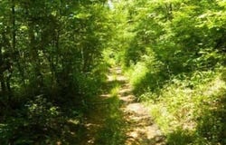 0 Laurel Creek Rd (DB 344, DP 515), Louisa, KY 41230