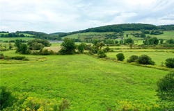 W Cheningo Road, Truxton, NY 13158