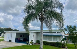 915  Trevino Dr, Lady Lake, FL 32159