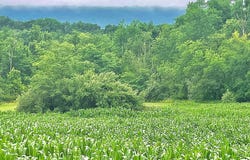 8368 ALLEMAENGEL Road, NEW TRIPOLI, PA 18066