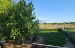 1982 N CRESTWOOD ROAD, Antigo, WI 54409