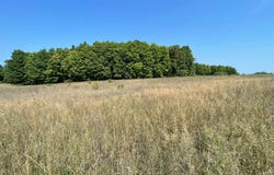 17+Acres Marsh Rd, Kingsley, MI 49649
