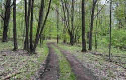 Jordan Hill Road, Clarksville, NY 14715