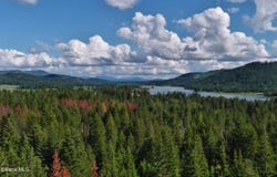 127 Lions Rd, Priest River, ID 83856