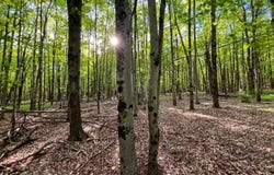 706 Church Rd, Glen Wild, NY 12738