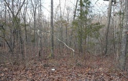 000 Algonquin Circle, Cherokee Village, AR 72529