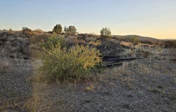 499g E Park View Lane, Mayer, AZ 86333