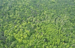 Tract 3 Ticonderoga Trail, Hackensack, MN 56452