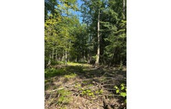 141 Cross Rd, Maryland, NY 12116