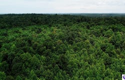 Tract 9 Cook Lane, Cromwell, KY 42333