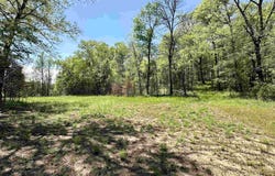 000 N Boswell Road, Calico Rock, AR 72519