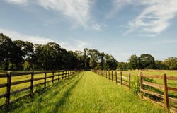 576 Trappey Road, Carencro, LA 70520