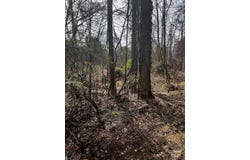 Cemetery Loop, Hickory, NC 28601