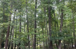 5117 Pheasant Lane, Sanford, NC 27332