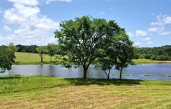 13530 FM 773, Ben Wheeler, TX 75754