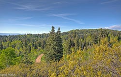 1986 Pine Meadow Drive, Coalville, UT 84017