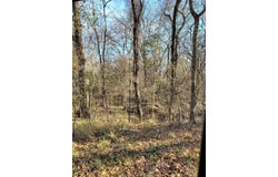 Wood Lane, Mabank, TX 75156