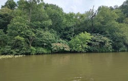 289 CAMP NOD ROAD lot: 0, QUINTON, AL 35023