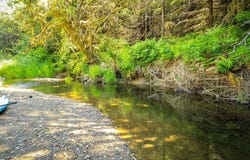 53856 BIG CREEK RD, Myrtle Point, OR 97458