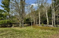Park Road, Lexington, NY 12452