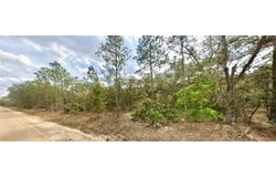 109 DOTTIE STREET, INTERLACHEN, FL 32148