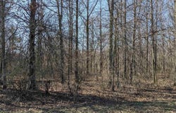 TBD W 550 South, Portland, IN 47371