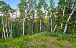 West Village, Beaver, UT 84713