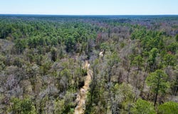 Lot 2 Cowart Holiday Road, Poplarville, MS 39470