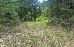 County Road 815, Gainesville, MO 65655