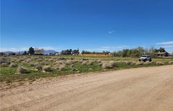 Yucca Rd, Newberry Springs, CA 92365