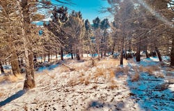 Mining Claim Access, Basin, MT 59631