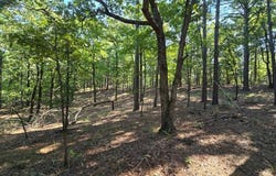 2 TBD River Road Muse Oklahoma, Muse, OK 74949