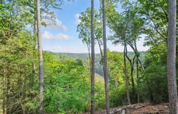 54 Myna Court, Ellijay, GA 30540