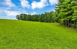 Murphy Bend Road, Ennice, NC 28623