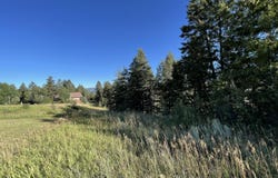 682 OVERLOOK Circle, Alpine, WY 83128